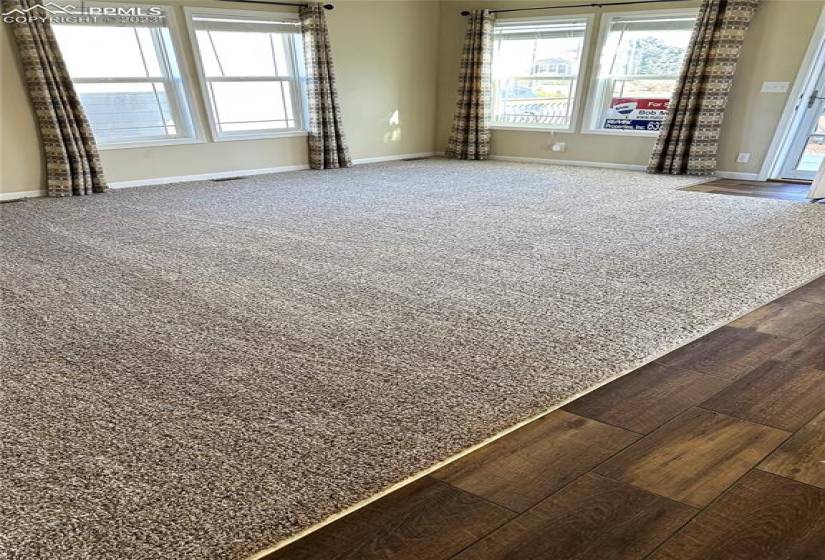 Living room - new carpet!