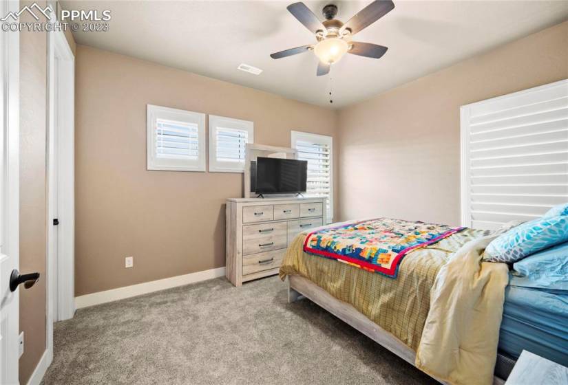 Upstairs bedroom 1 with walk in closet, carpet and windows make the space airy and bright.