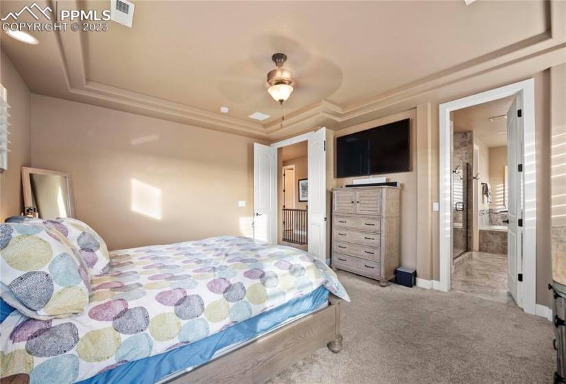 Master bedroom with VIEWS, trey ceiling, French doors, attached 5 peice bath and large walk in closet.