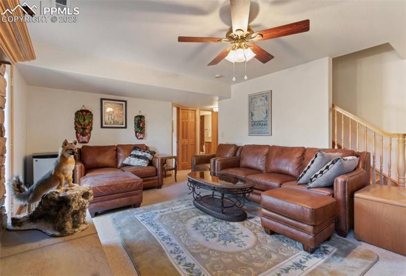 Downstairs family room is light & bright from windows & sliding glass door out to side patio