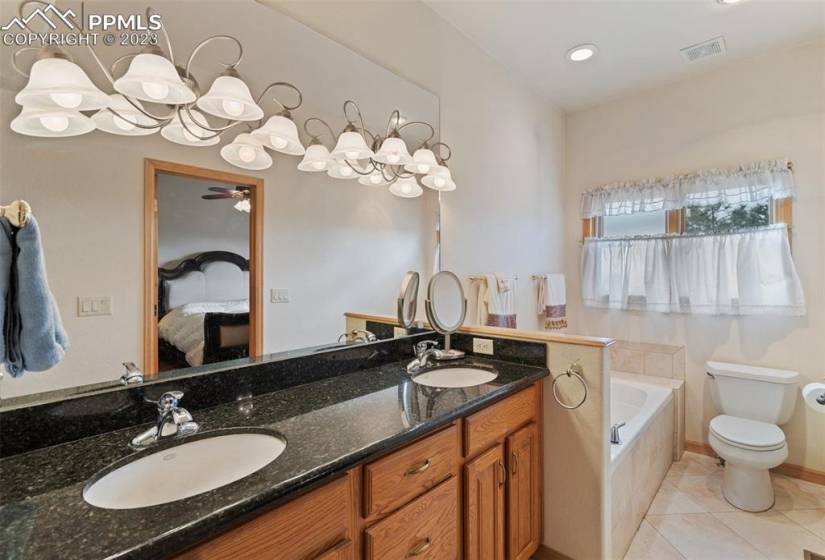 Primary bath vanity with double sinks, separate tub & shower