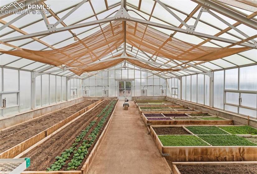 Greenhouse with meticulously maintained & cultivated non-gmo raised beds