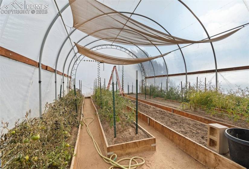 Hoop house for additional indoor growing options