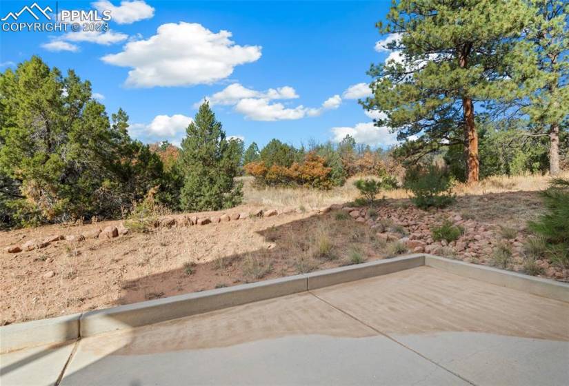 Trees showing privacy off of patio