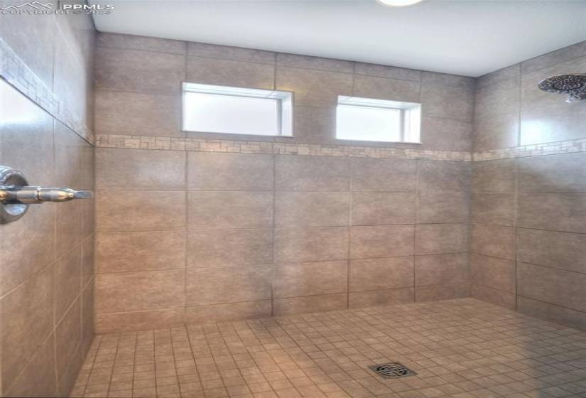 Tiled shower in the Primary Bathroom with extra windows for natural light.
