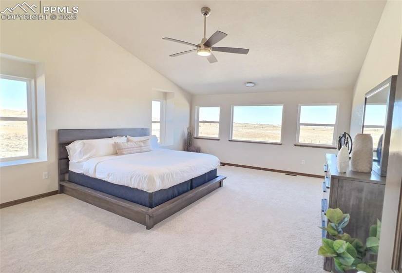 Large master bedroom with plenty of natural light and oversized windows, vaulted ceilings.