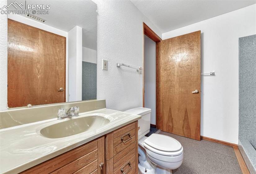 The Basement Bathroom has a vanity and mirror with entry from the bedroom or hallway.