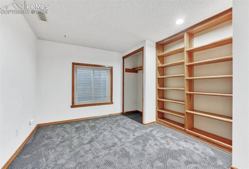 Basement Bedroom #4 has carpet and built-in shelves.