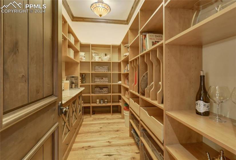 Dream walk-in pantry includes outlets