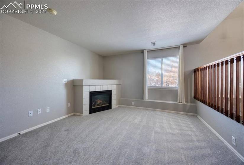 Lower level Family Room with gas log fireplace to cozy up to on chilly winter nights