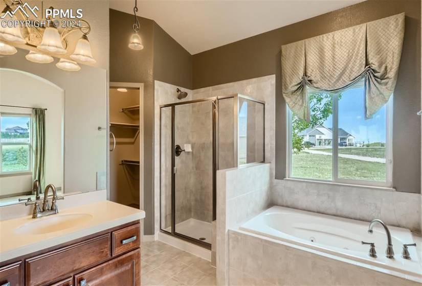 5-piece master bathroom with freestanding shower, jetted tub, walk-in closet, and brushed nickel finishes.