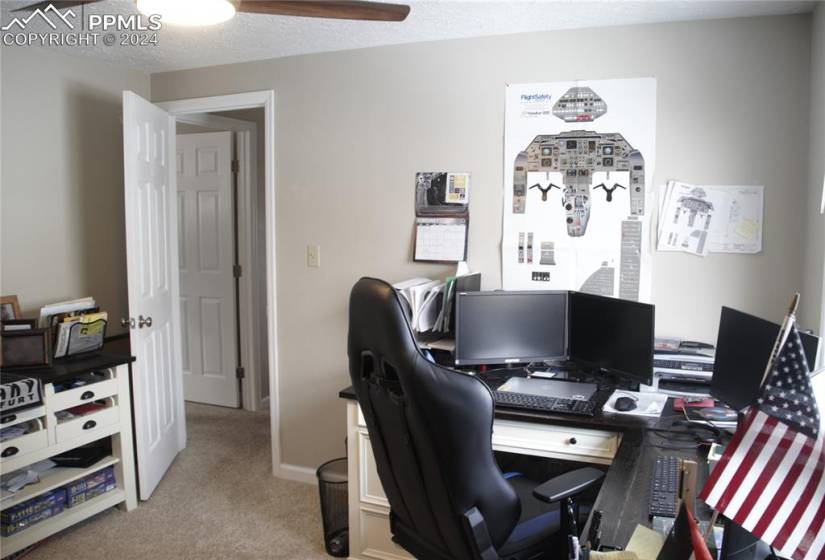 Bedroom being used as office with NEW Ceiling Fan