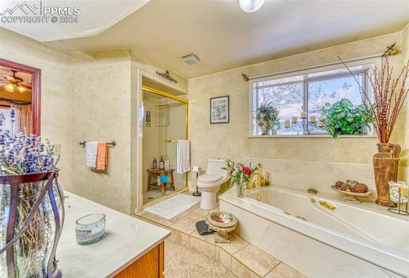 Full bathroom featuring vanity, shower with separate bathtub, a textured ceiling, and toilet