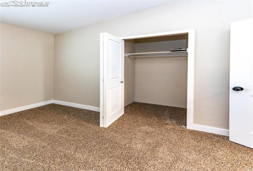 Unfurnished bedroom featuring carpet flooring and a closet