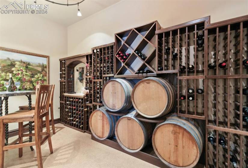 Wine cellar featuring rail lighting and carpet floors