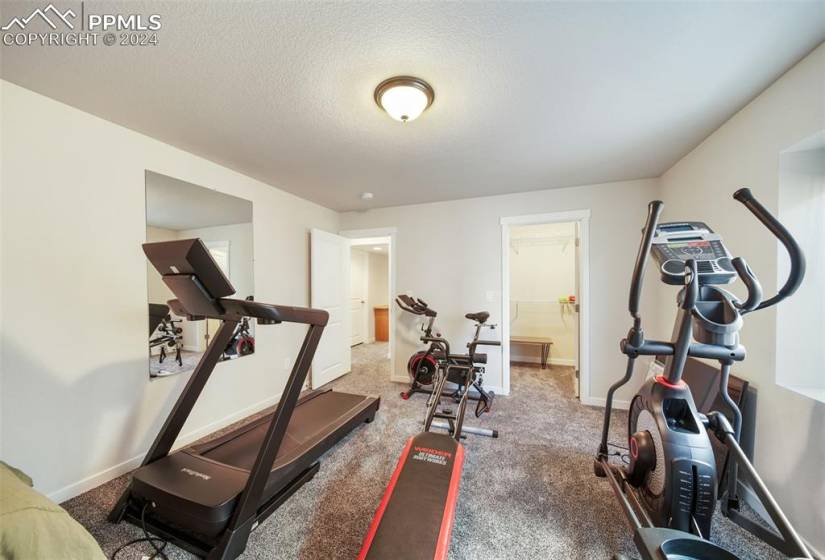 Workout room with carpet floors and a textured ceiling