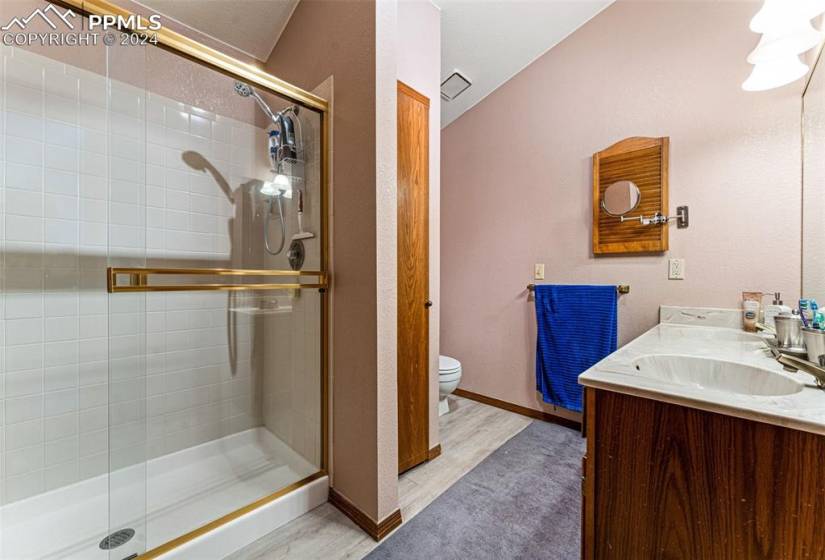 Bathroom with vanity, toilet, hardwood / wood-style floors, and walk in shower