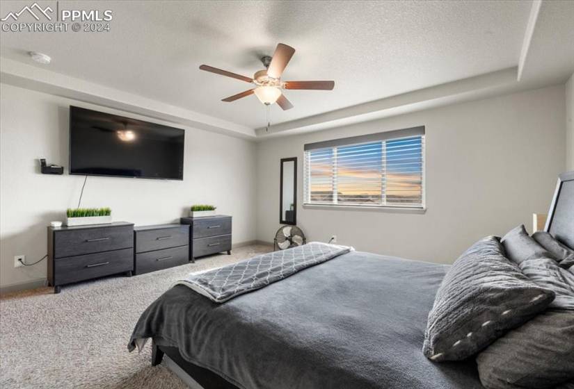 The Upper Level Primary Owner's Suite has neutral carpet, a lighted ceiling fan, and adjoining 5pc Bathroom w/ walk-in closet.