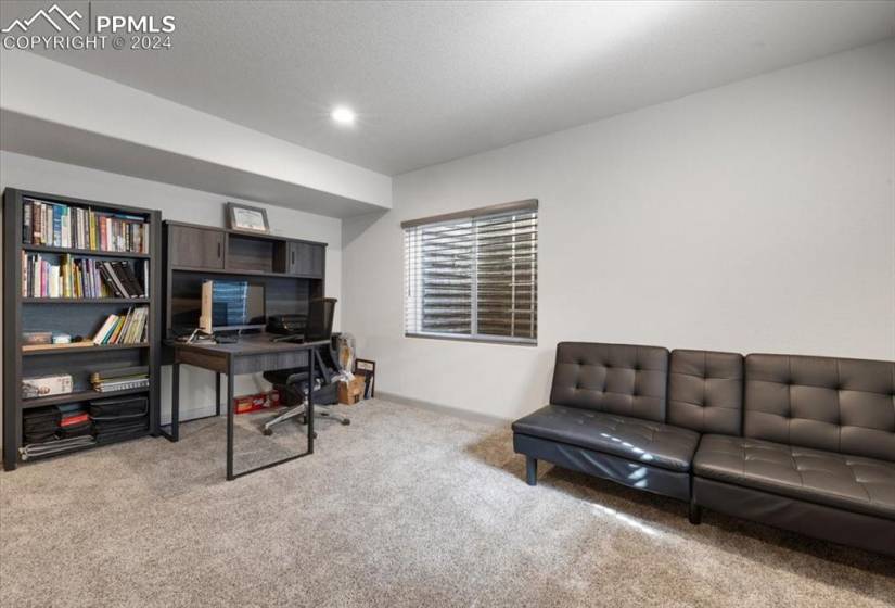 Basement Family/Rec Room with neutral carpet.