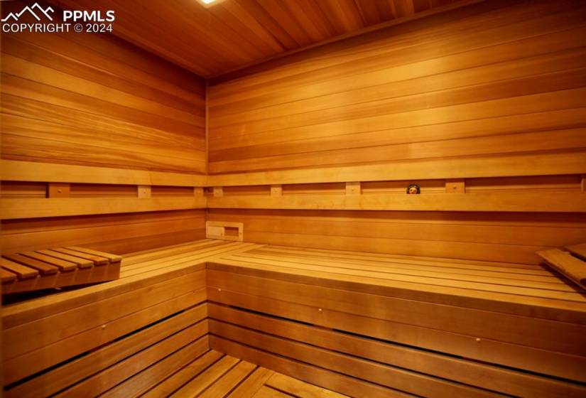 A great place to relax, in the Master bath SAUNA!