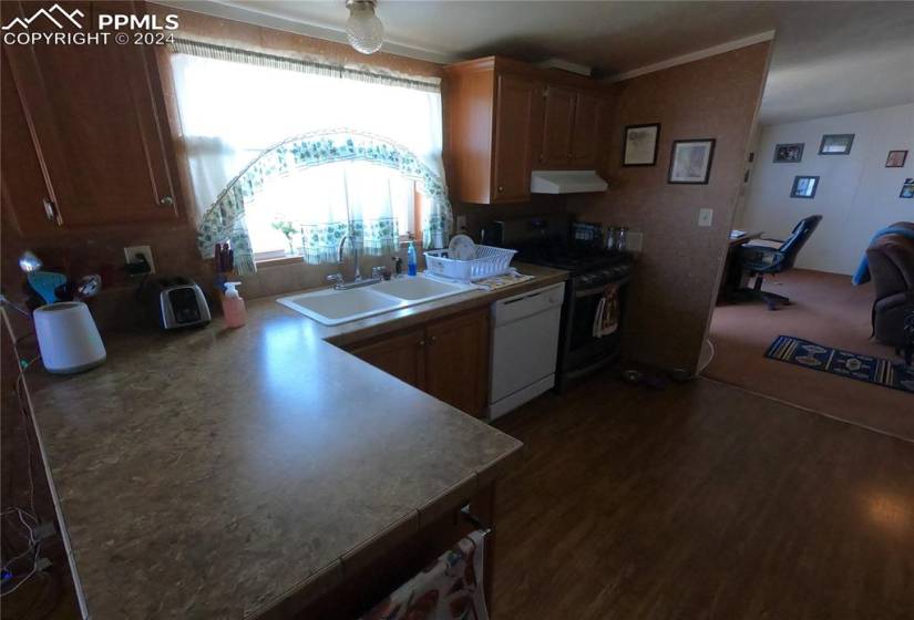 Kitchen featuring white dishwasher, dark wood-type flooring, range, sink, and wall chimney exhaust hood