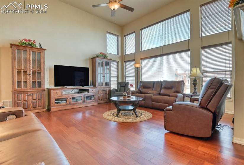 Living room featuring a wealth of natural light, dark hardwood / wood-style flooring, and ceiling fan