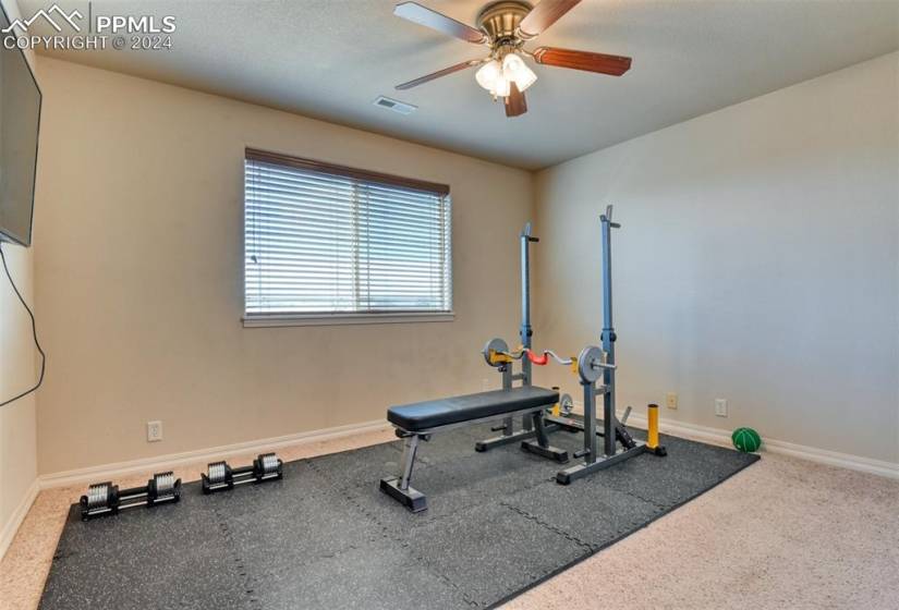 Workout area featuring ceiling fan and carpet
