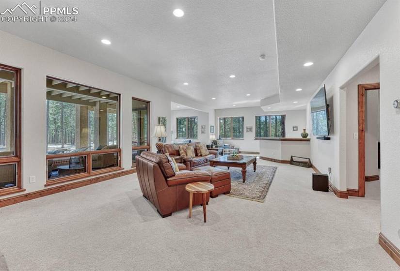 Carpeted living room featuring a textured ceiling