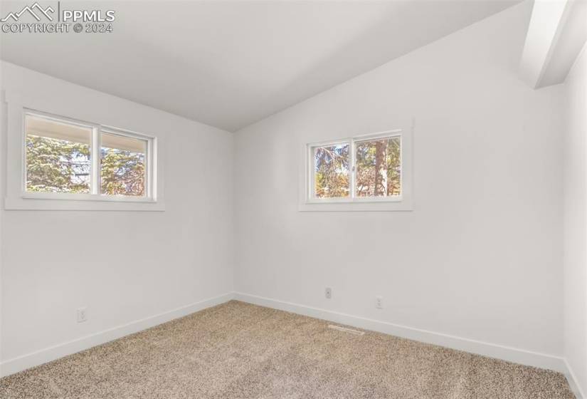 Empty room with a wealth of natural light, light colored carpet, and lofted ceiling