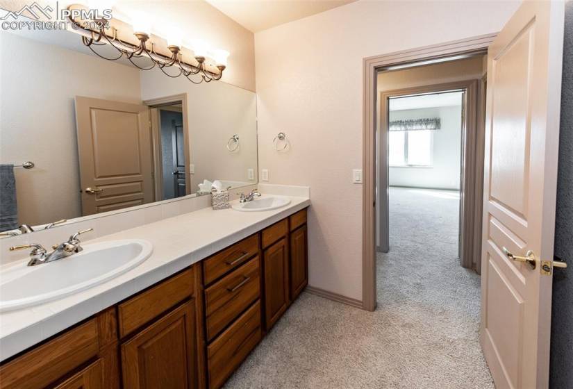 Downstairs bathroom featuring double sink vanity.