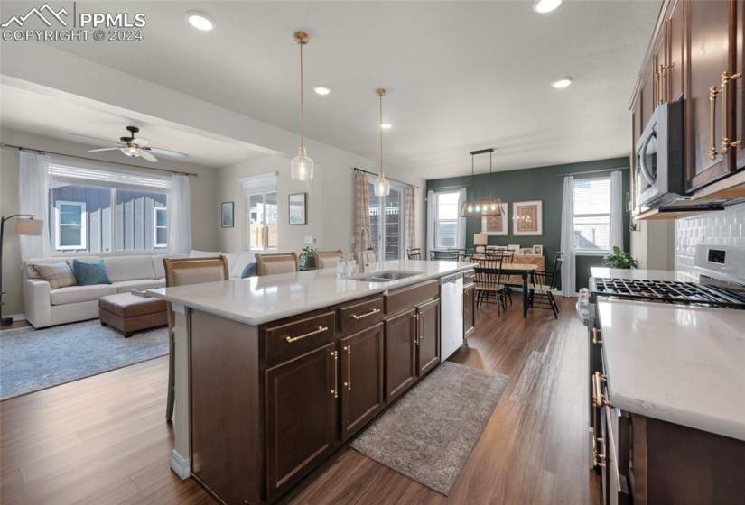 Kitchen featuring ceiling fan with notable chandelier, sink, decorative light fixtures, dark hardwood / wood-style flooring, and appliances with stainless steel finishes