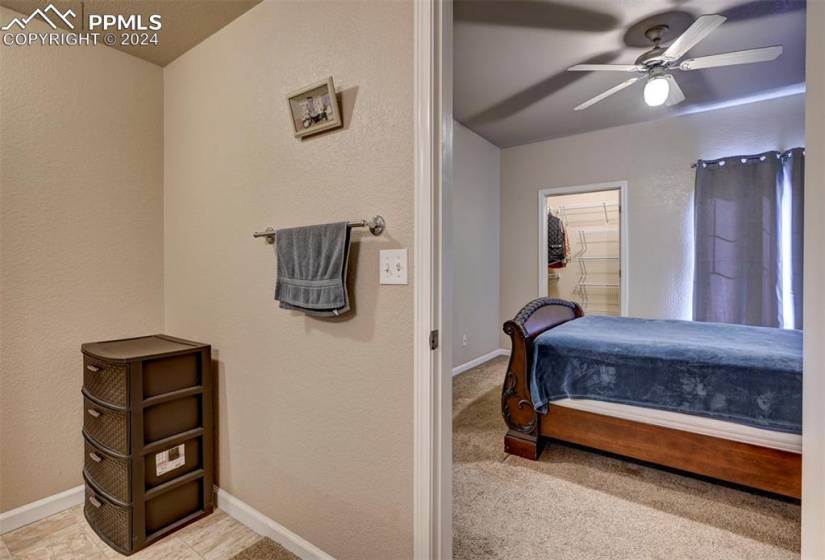 Bedroom featuring light carpet, a closet, a walk in closet, and ceiling fan