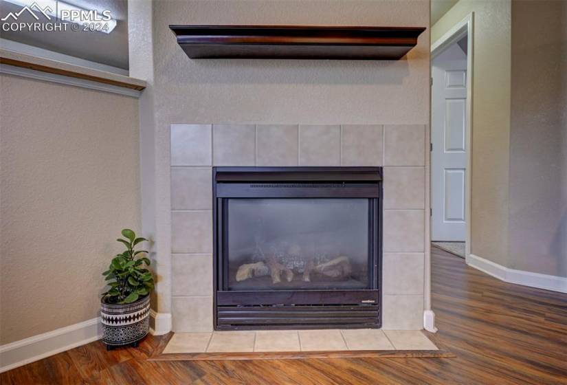 Details featuring wood-type flooring and a tile fireplace