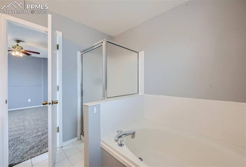 Free standing shower and soaking tub.