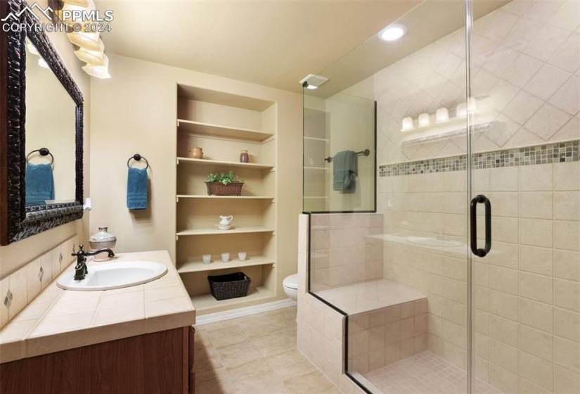 Basement Bathroom featuring a shower with shower door, tile floors, toilet, and vanity