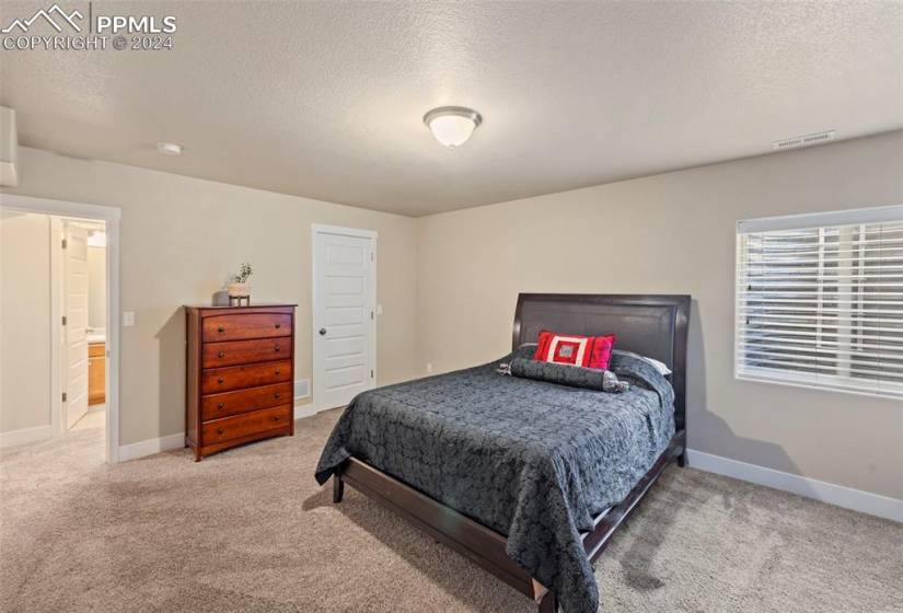 large 4th bedroom in basement with walk-in closet