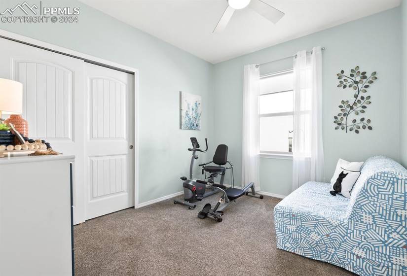 Exercise area with dark colored carpet and ceiling fan