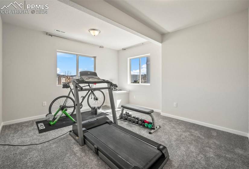 Exercise area with carpet floors/bedroom