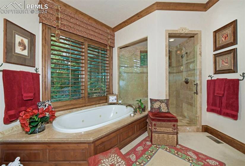 Bathroom featuring ornamental molding and plus walk in shower