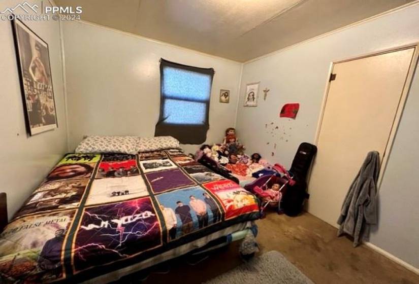 Bedroom with carpet floors