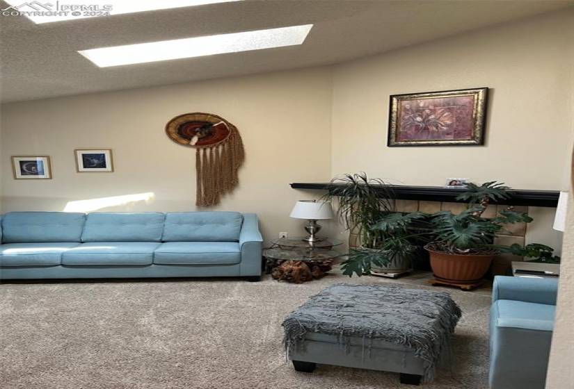 Living room featuring carpet flooring and a skylight