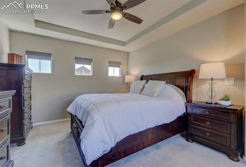 Carpeted bedroom featuring multiple windows, a tray ceiling, and ceiling fan