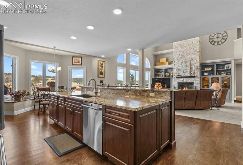 Kitchen with stainless steel dishwasher, a wealth of natural light, and dark hardwood / wood-style floors