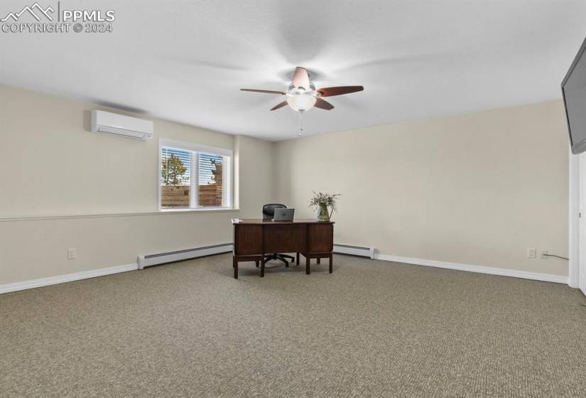 Basement bedroom with large walk-in closet