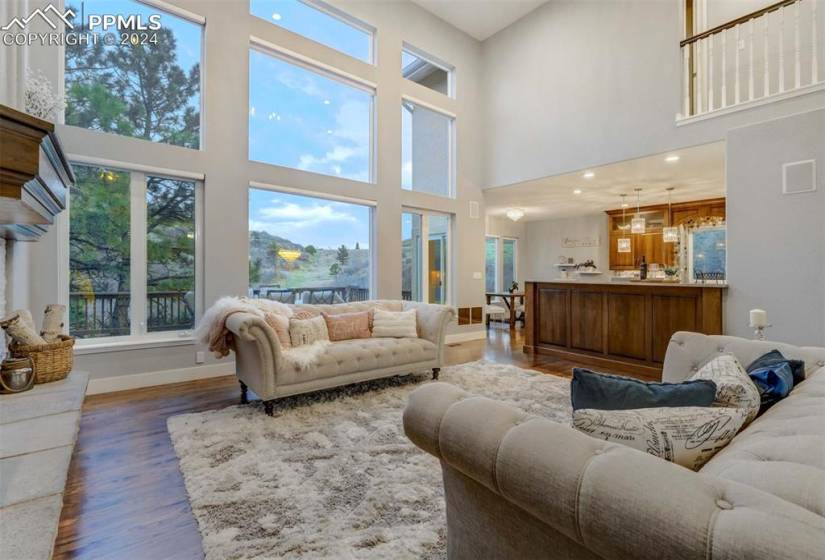 Living room with dark wood-type flooring and a high ceiling