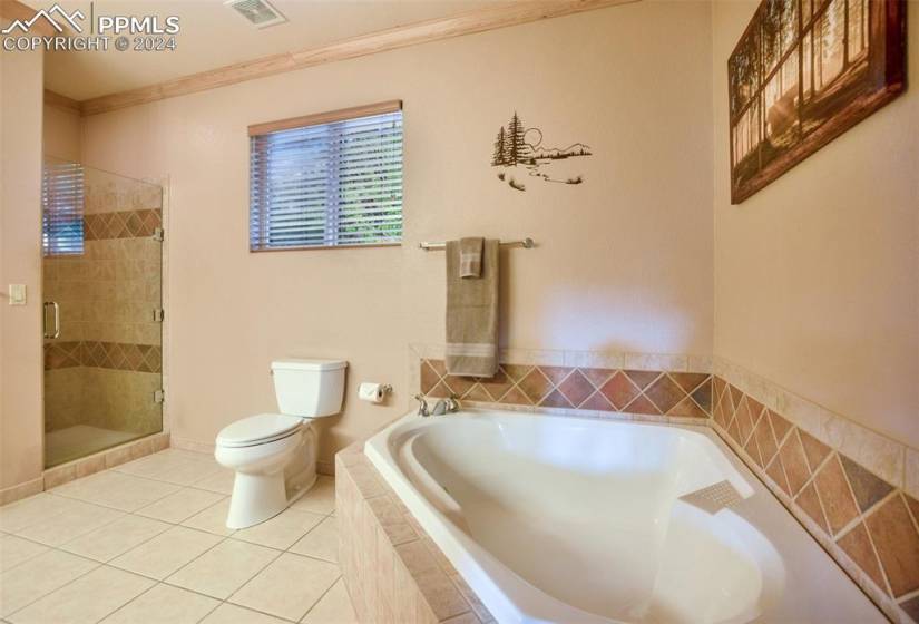 Bathroom featuring ornamental molding, independent shower and bath, toilet, and tile floors