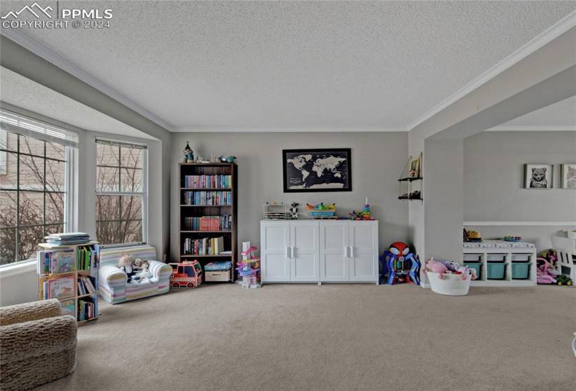 Playroom with a textured ceiling, carpet, and crown molding