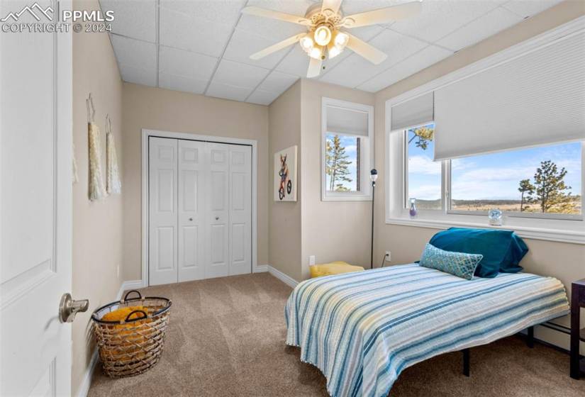 Bedroom featuring a drop ceiling, carpet flooring, a closet, and ceiling fan