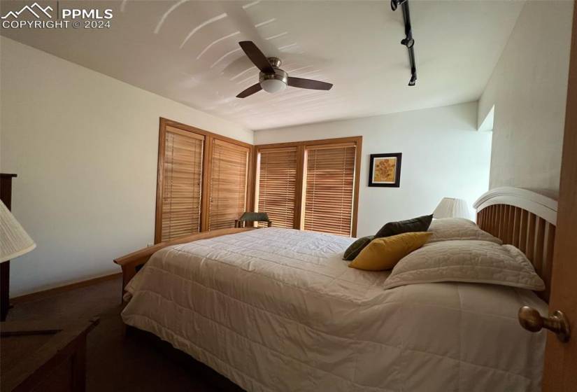 Carpeted bedroom featuring rail lighting and ceiling fan