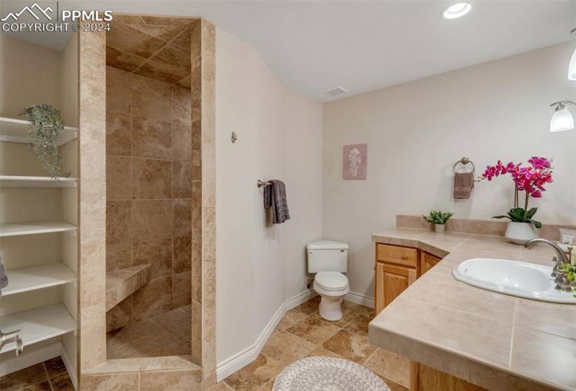 Basement Bathroom featuring shower, toilet, tile floors, and vanity